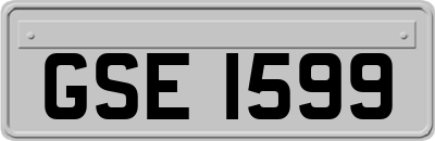 GSE1599