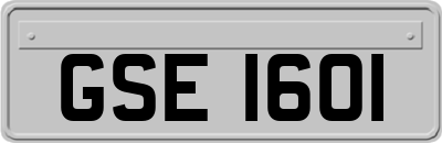 GSE1601
