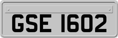 GSE1602