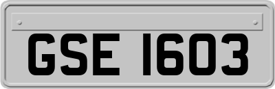GSE1603