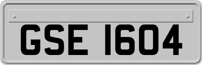 GSE1604