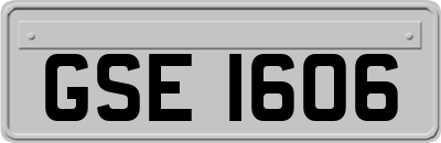 GSE1606