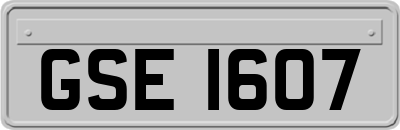 GSE1607