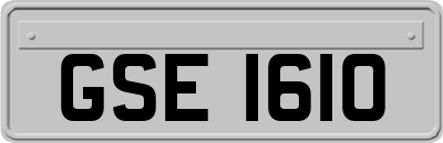 GSE1610