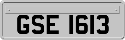 GSE1613