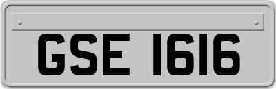 GSE1616