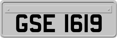 GSE1619