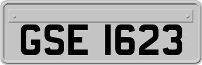 GSE1623