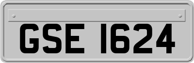 GSE1624