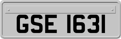 GSE1631