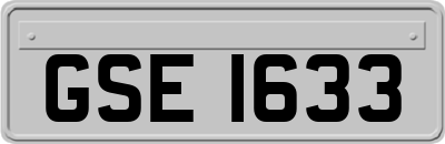GSE1633