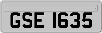 GSE1635