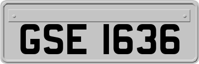 GSE1636
