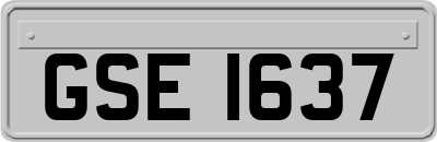 GSE1637