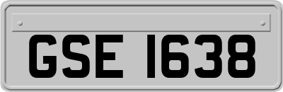 GSE1638