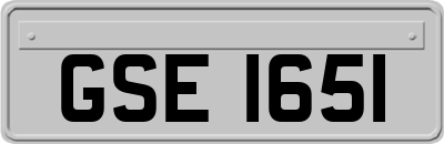 GSE1651