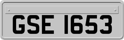 GSE1653
