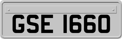 GSE1660