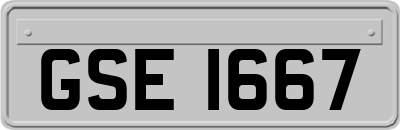 GSE1667