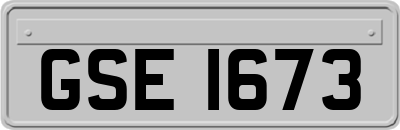 GSE1673