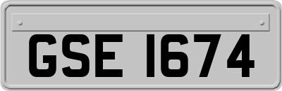 GSE1674