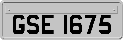 GSE1675