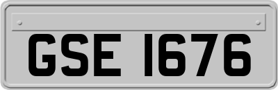 GSE1676