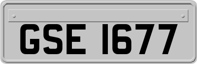GSE1677