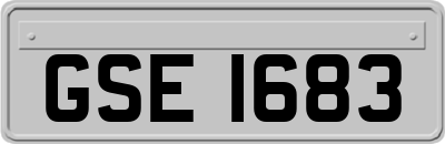 GSE1683