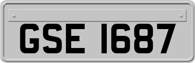 GSE1687