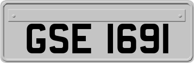 GSE1691
