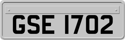 GSE1702