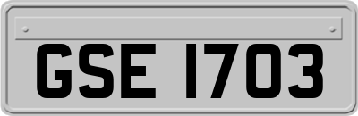 GSE1703
