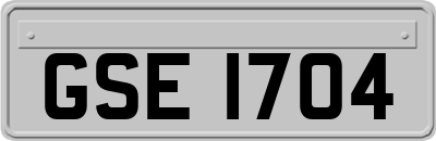GSE1704