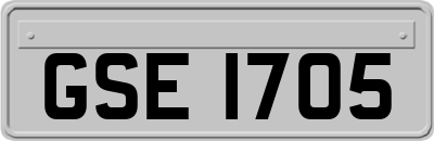 GSE1705
