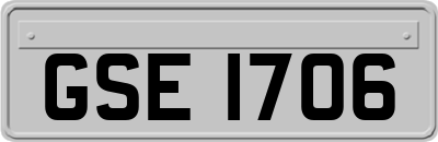 GSE1706