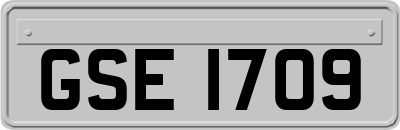 GSE1709