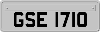 GSE1710