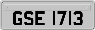 GSE1713