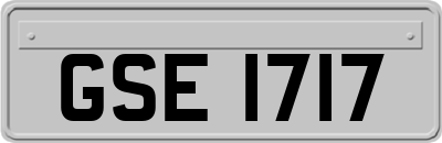 GSE1717