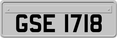 GSE1718