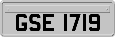 GSE1719