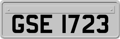 GSE1723