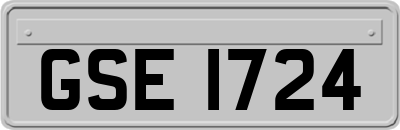 GSE1724