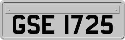 GSE1725