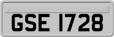 GSE1728