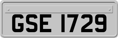 GSE1729