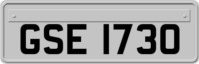 GSE1730