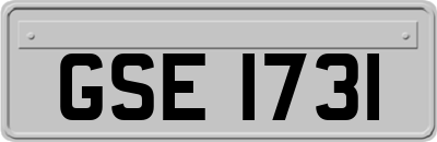 GSE1731