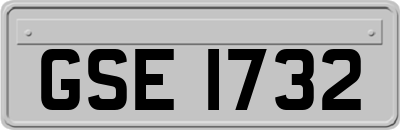 GSE1732